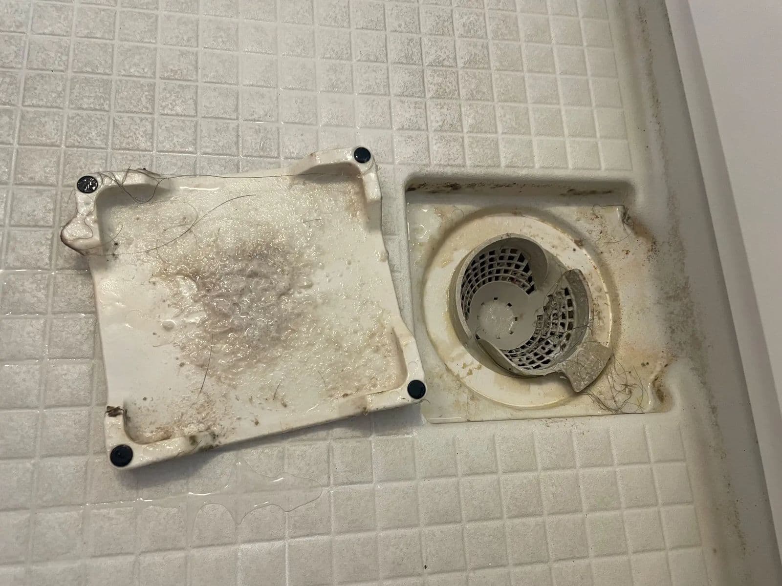 作業前のお風呂の排水口。フタや受け皿に汚れが溜まっている